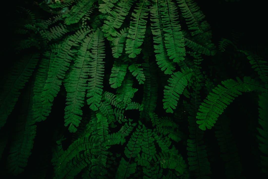 广东工业大学暑期社会实践队赴延安探寻生物医药范畴南北共创之路